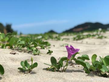 太平洋寿险上海分公司因虚构经济事项套取费用被罚19万元